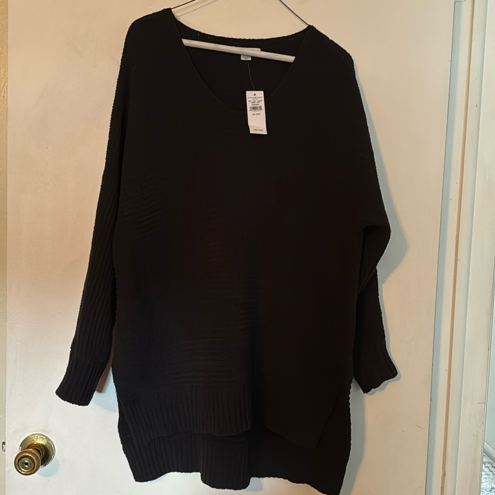 AE long sweater
